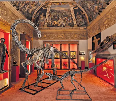  ?? ?? Fossil skeletons of a diplodocus and a juvenile allosaurus square up in the middle of Theatrum Mundi gallery as exotica from the ages lines the walls of the 16th century building