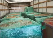  ??  ?? RCMP warrants found the transport truck contained nearly 4,000 pounds of illegal cannabis, with a second truck in possession of large amounts of cash.