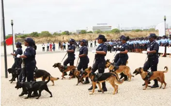  ?? VIGAS DA PURIFICAÇÃ­O | EDIÇÕES NOVEMBRO ?? Polícia Nacional teve tarefa redobrada durante o último fim-de-semana em todo o país