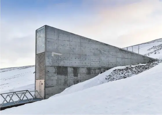  ?? Bild: Jonas Ekströmer ?? I det globala frövalvet på Svalbard får fröerna förvaras utan kostnad.