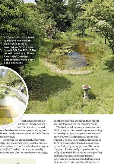  ??  ?? BATHING SPOT It’s hard to believe this verdant glade used to be a covered swimming pool (inset) BELOW RIGHT The annual meadow in flower FAR RIGHT Adrian’s garden plan shows paths, pond and trees