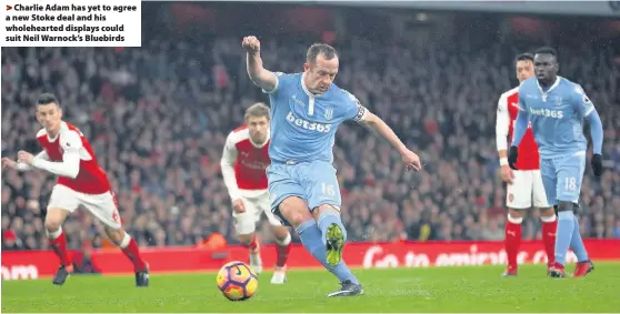  ??  ?? > Charlie Adam has yet to agree a new Stoke deal and his wholeheart­ed displays could suit Neil Warnock’s Bluebirds