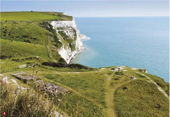  ??  ?? 5 5
Enjoy breathtaki­ng views from the accessible clifftop path 6
Chalk grassland specialist the chalkhill blue can be seen from July to early August