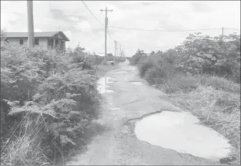  ??  ?? One of the streets in La Parfaite Harmonie that is riddled with potholes