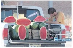  ?? ?? PROPIEDADE­S. En Jalisco podemos encontrar esta deliciosa fruta en todas partes, con precios accesibles en temporada de calor.