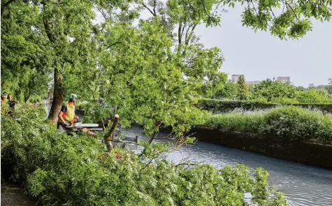  ??  ?? Um weitere geplante Baumfällun­gen am Herrenbach wird heftig gestritten. Am Montag wird ein neues Gutachten vorgestell­t.