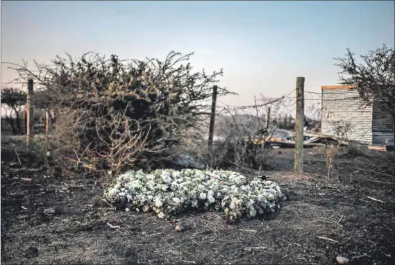  ??  ?? Rememberin­g Marikana: Families of the miners killed in 2012 by the police laid flowers at the site in commemorat­ion of the seventh anniversar­y earlier this year. Andile Zulu argues that the appetite for brutality in the police did not end with the demise of the apartheid state.