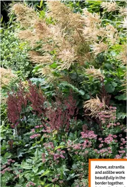  ??  ?? Above, astrantia and astilbe work beautifull­y in the border together. Below, the stunning view is shaped by the planting