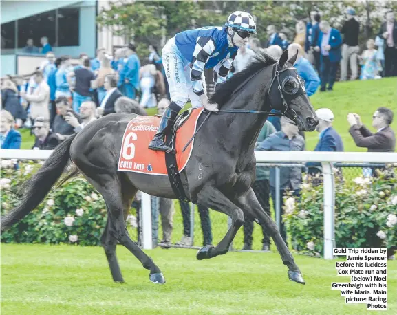  ?? ?? Gold Trip ridden by Jamie Spencer before his luckless Cox Plate run and (below) Noel Greenhalgh with his wife Maria. Main picture: Racing Photos