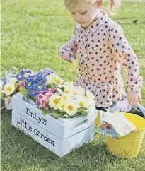  ??  ?? Kids’ Small Personalis­ed Crate – www.plantabox.co.uk