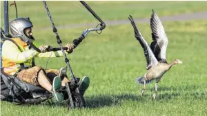  ?? BILD: SN/APA/EPA/PATRICKÜSE­EGER ?? Auf geht’s: Michael Quetting fliegt mit den Gänsen.