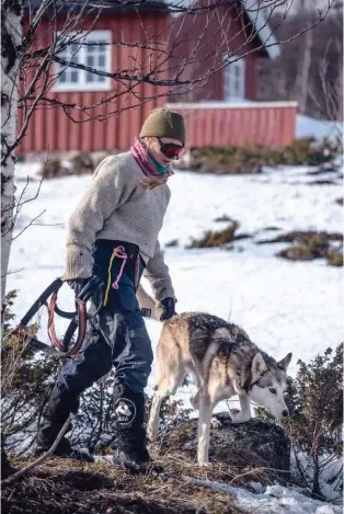  ??  ?? Côté logistique, des équipages de mushers transporte­nt la
nourriture et les sacs.