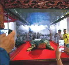  ?? — AFP photo ?? Tourists take pictures of an embalmed giant turtle displayed at Ngoc Son temple in Hanoi.