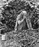  ??  ?? While Coal India has 326,000 direct employees, the number of outsourced or contractua­l workers has risen sharply to 65,000 in the past three years