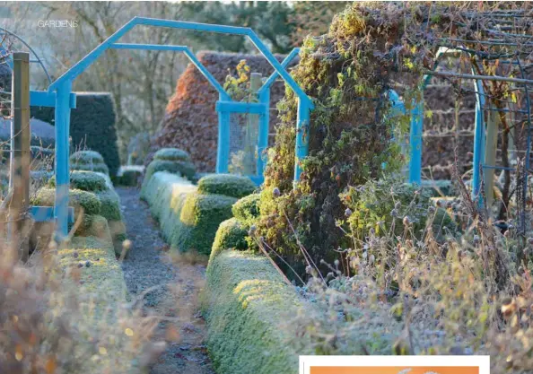  ??  ?? Top: Smothered in plants, the blue metal arches add a vertical dimension.
Top right: Frosted apple leaves. Below right: Rose hips on a metal gate.