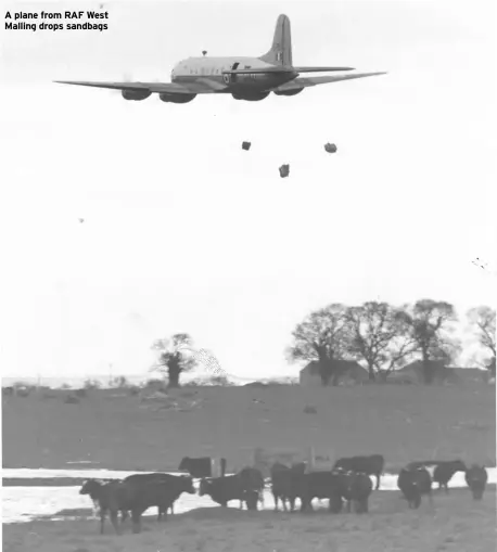  ?? ?? A plane from RAF West Malling drops sandbags