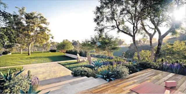  ?? Cavalleri ?? LANDSCAPIN­G AT the 68-unit Cavalleri in Malibu, which is scheduled to be completed early next year, will incorporat­e drought-resistant trees and other f lora.