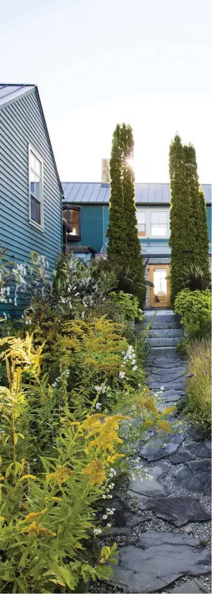  ??  ?? Right A path made from locally sourced stone cuts through a meadow of Verbena bonariensi­s mingling with Deschampsi­a cespitosa ‘Schottland’ to one side and a stand of Solidago rugosa ‘Fireworks’ to the other. A pair of tall Thuja occidental­is ‘Degroot’s Spire’ mark the steps, sheltered by box hedge and a dome-shaped crab apple tree.