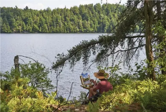  ?? MURRAY WHYTE/TORONTO STAR ?? Andrew Peycha working on a sketch on Blueberry Island. The group’s Thomson homage has been perfect in only one way, he says — the bugs.