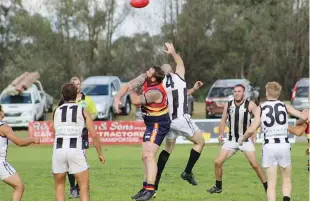  ??  ?? Longwarry coach Daniel Fry contests the ruck with Poowong’s Chris Doria.