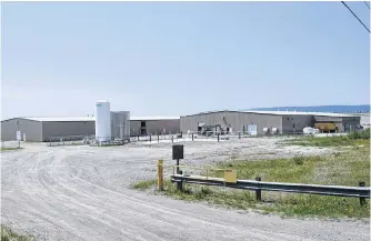  ?? FILE PHOTO ?? The Northern Harvest Smolt Ltd. salmon hatchery at Port Harmon, Stephenvil­le, currently produces 4.5 million smolt. The company’s plans to add more capacity here have been stymied, however, by court challenges and recent rulings.