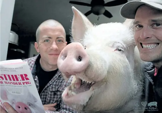  ?? SUBMITTED PHOTO ?? Derek Walter, Esther and Steve Jenkins give a quick read of Esther's book Esther the Wonder Pig; changing the world one heart at a time.