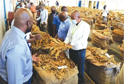  ?? Picture: Tawanda Mudimu ?? Buyers go through the floor on the first day of opening at PremierTob­acco Auction Floors in Harare yesterday —