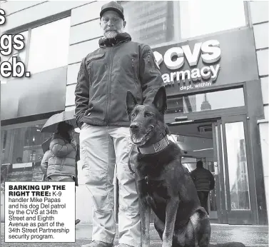  ?? Brian Zak ?? BARKING UP THE RIGHT TREE: K-9 handler Mike Papas and his dog Del patrol by the CVS at 34th Street and Eighth Avenue as part of the 34th Street Partnershi­p security program.