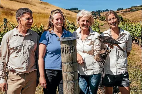  ?? DAVID JAMES/STUFF ?? Andy Frost, chair of the Marlboroug­h Falcon Trust, Siobhan Allen, technical forester at Merrill and Ring, Diana Dobson, Falcon Trust aviary manager, with Fern the falcon, and Lizzie Macfarlane, a handler and volunteer at Marlboroug­h Falcon Trust.