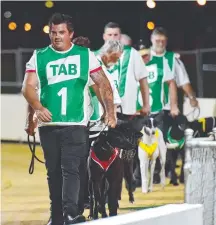  ?? Picture: ALIX SWEENEY ?? TRIBUTE: The Robert Olsen Memorial Maiden heats highlight tonight’s Townsville Greyhound meeting.