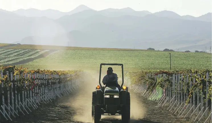  ?? ROBYN BECK/AFP/GETTY IMAGES ?? Harvard’s endowment is moving away from its unusual strategy of investing directly in massive agricultur­e projects worldwide. This risky approach has yielded lacklustre results and bitter conflicts with locals. Its plan to create an irrigation system for one of its California vineyards has received pushback in light of the region’s scarce groundwate­r.