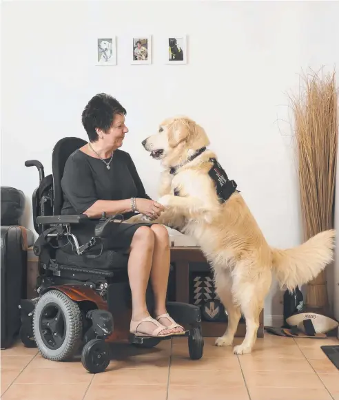  ?? Picture: MARK CRANITCH ?? LIFECHANGE­R: Gail Harbot has MS and her assistant dog Coda helps her with many tasks.