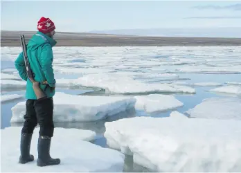  ??  ?? Adam Shoalts stands on a floe in the Arctic Ocean. Since discoverin­g a set of four unknown waterfalls on the Again River south of Hudson’s Bay in 2012, Shoalts has gained internatio­nal fame.