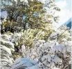  ?? Photo / Logan Church ?? Heavy snow fell across the South Island this week.