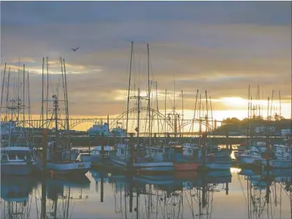  ?? Photograph­s by Barbara Albright ?? THE WORKING WATERFRONT in Newport, Ore., is also a pleasant place to walk. Yaquina Bay Bridge stands in the distance.