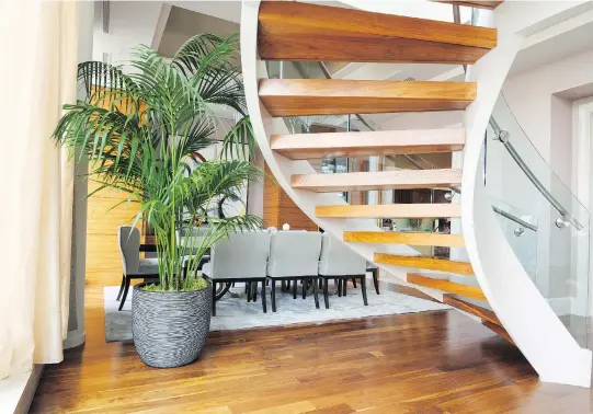  ?? PHOTOS (3): COURTESY OF ALPHAPLANT­ES ?? The warmth of the hardwood floors and wooden steps on the curved staircase serves as a perfect backdrop to the lush green of this potted plant.