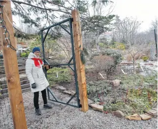  ?? TIM KROCHAK • THE CHRONICLE HERALD ?? Sheila Stevenson stands at the gate of the newly constructe­d fence that surrounds her Ferguson's Cove Road garden Monday. She says the local deer population has gotten out of control and needed the fence to protect her property and plants from the hungry animals.