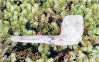  ?? PHOTO: SUPPLIED ?? Found . . . A clay pipe believed to have belonged to 19thcentur­y explorer William Docherty was found in Dusky Sound.