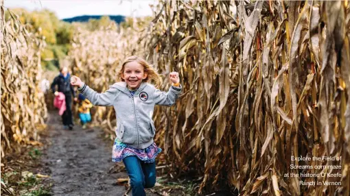  ??  ?? Explore the Field of Screams corn maze at the historic O'keefe Ranch in Vernon