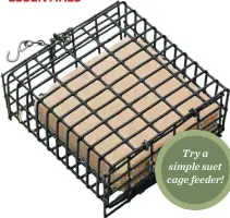  ??  ?? Try a simple suet cage feeder!