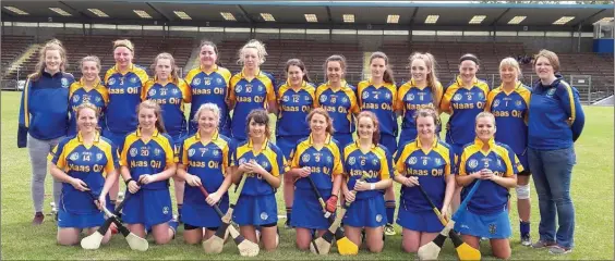  ??  ?? The Wicklow camogie team who lost out to Waterford in their All-Ireland Junior championsh­ip clash last weekend.