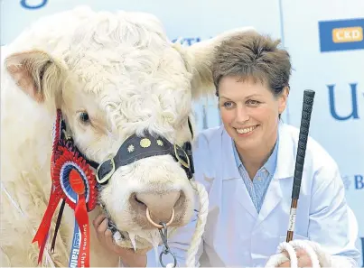  ?? Picture: Ron Stephen. ?? Charolais bull Blackford Leonardo took the supreme championsh­ip for Inverness-shire breeder Anne MacPherson of Croy.