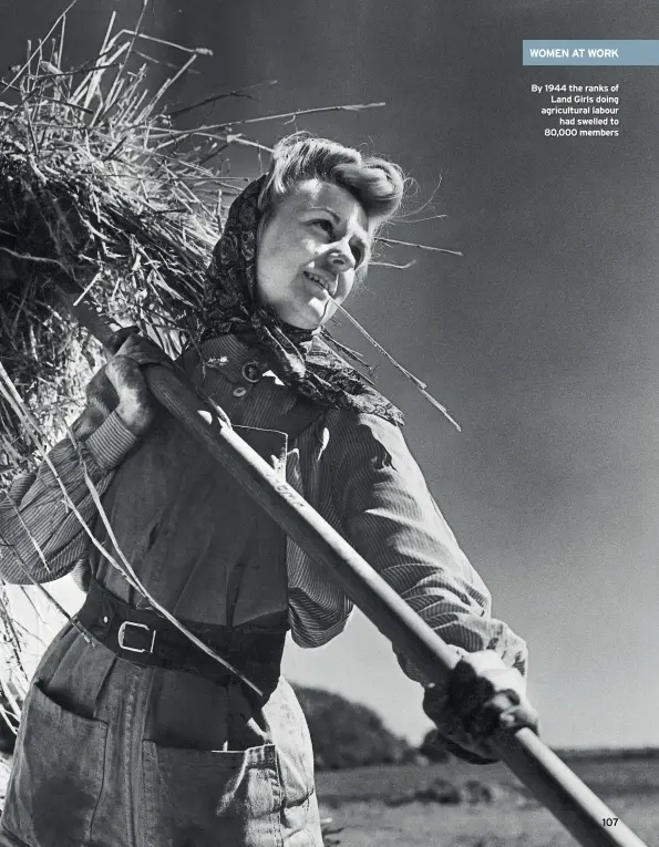  ??  ?? By 1944 the ranks of Land Girls doing agricultur­al labour had swelled to 80,000 members