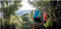  ?? PHOTO: SUPPLIED ?? One of the Manawatu Gorge walk lookouts.