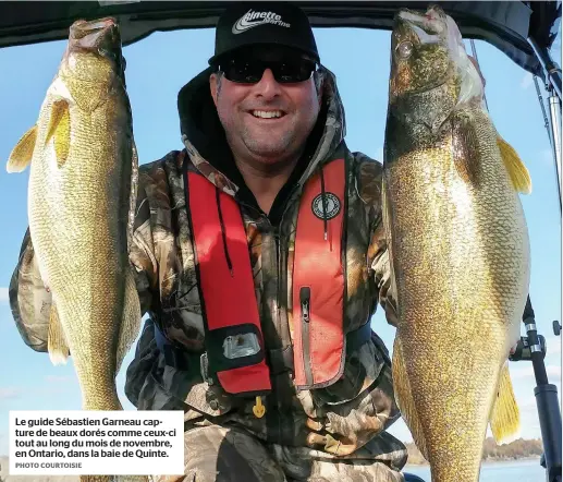  ?? PHOTO COURTOISIE ?? Le guide Sébastien Garneau capture de beaux dorés comme ceux-ci tout au long du mois de novembre, en Ontario, dans la baie de Quinte.