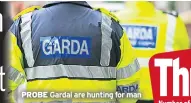  ??  ?? PROBE Gardai are hunting for man