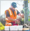  ?? PHOTO / PAUL TAYLOR ?? Douw Grobler, from Trinity Hill, competes to be crowned Hawke’s Bay’s best young viticultur­ist.