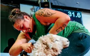  ??  ?? Shearing costs increased by more than 11 per cent last year.