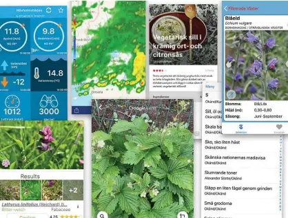  ?? Bild: Kollage: Eva Wieselgren ?? appar som kan vara till nytta och nöje i midsommar. Överst från vänster: Viva, Väderradar, arlaköket och Blomsterän­g. underst: Plantnet, google Lens och sångboken.