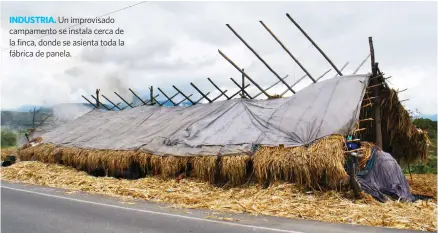  ??  ?? INDUSTRIA. Un improvisad­o campamento se instala cerca de la finca, donde se asienta toda la fábrica de panela.